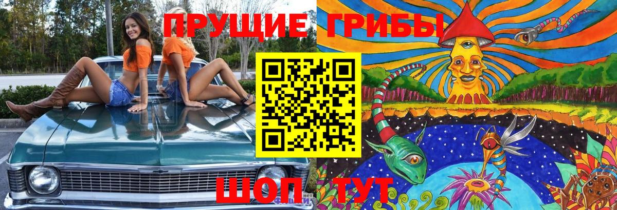 Беслан  Псилоцибиновые грибы Psilocybe  Вход с VPN  Псилоцибиновые грибы мицелий 